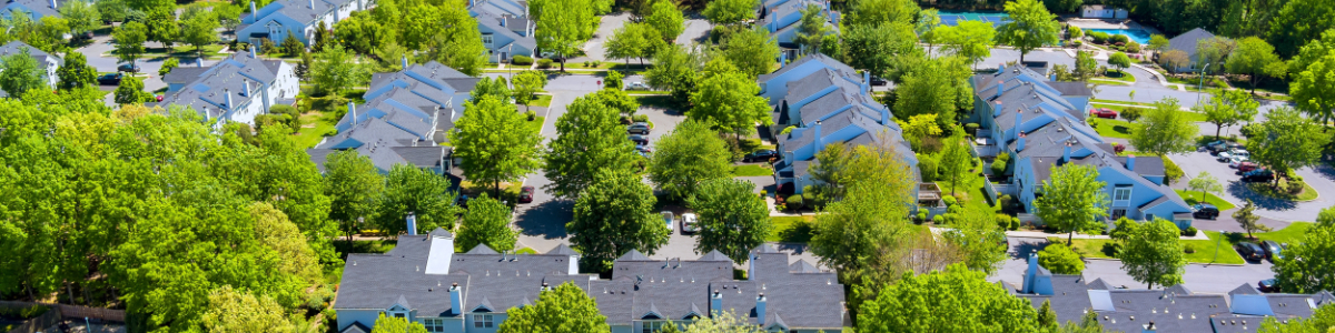 Drone Shot Of Wooded Neighborhood 1200X300